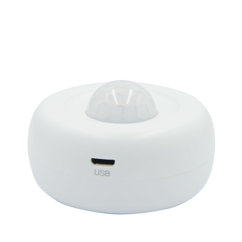 P-32-WF%20RXR%20Kablosuz%20Wi-Fi%20PIR%20Hareket%20Dedektörü